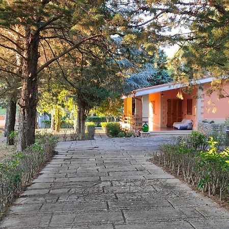 Nature, Memories And Garden Shower At Casa Del Castello Castel Del Monte  Exterior photo
