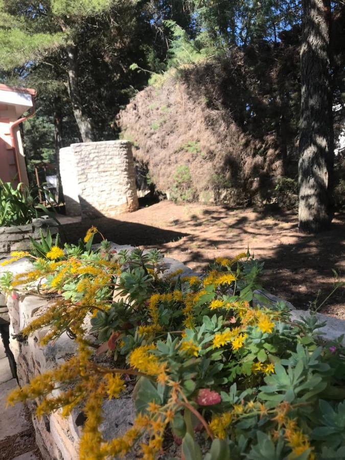 Nature, Memories And Garden Shower At Casa Del Castello Castel Del Monte  Exterior photo